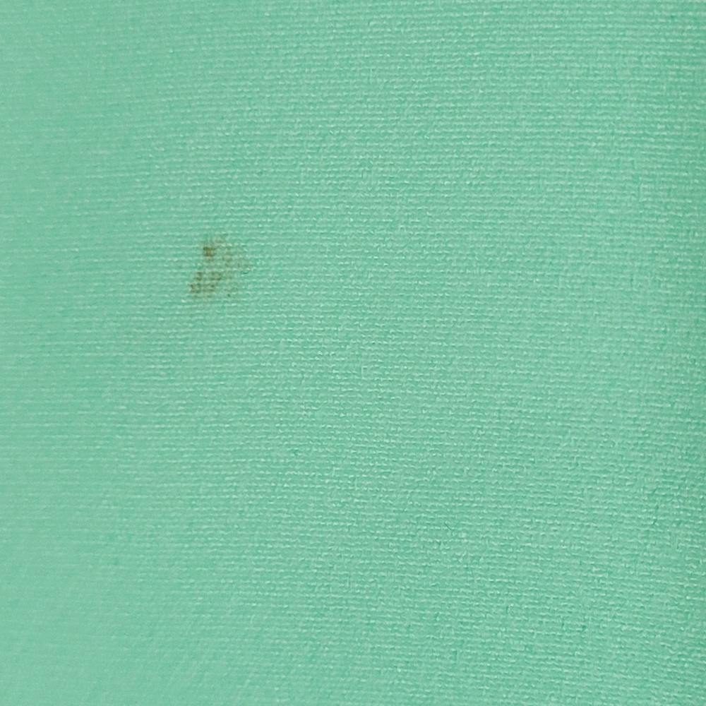 NEW Walter Baker Katarina Mini Skirt, Mint Green 6 - Picture 7 of 16